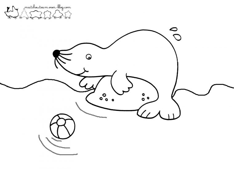 Coloriage Phoque #16277 (Animaux) – Album De Coloriages à Phoque Dessin