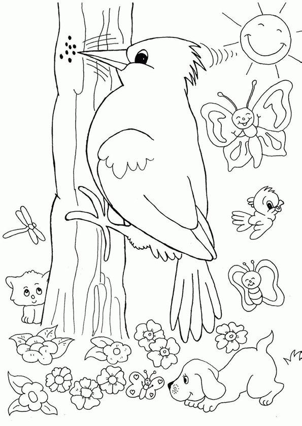 Coloriage Pivert Du Printemps serapportantà Dessin De Printemps