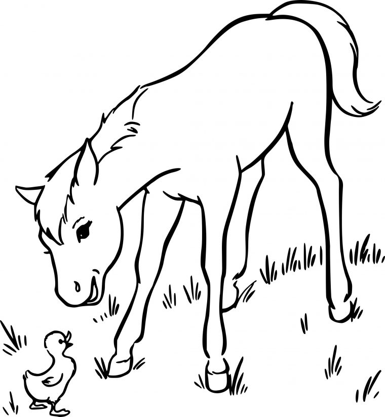 Coloriage Poulain À Imprimer Sur Coloriages avec Coloriage Cheval