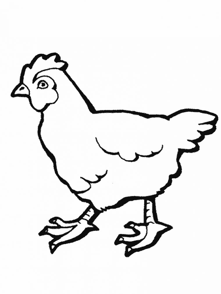 Coloriage Poule #17488 (Animaux) – Album De Coloriages tout Coloriage Poule