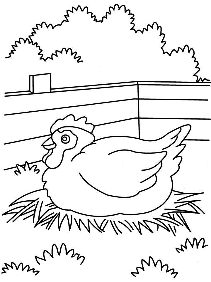 Coloriage Poule #17535 (Animaux) - Album De Coloriages avec Coloriage Poule 