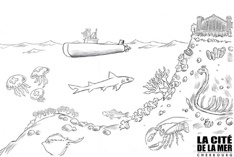 Coloriage Pour Enfant Poissons & Vie Sous-Marine – La Cité De La Mer à Fond Marin Coloriage