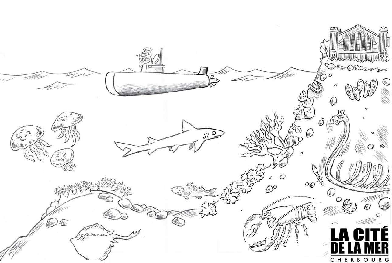 Coloriage Pour Enfant Poissons &amp;amp; Vie Sous-Marine - La Cité De La Mer à Fond Marin Coloriage 