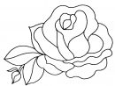 Coloriage Rose pour Dessins De Roses