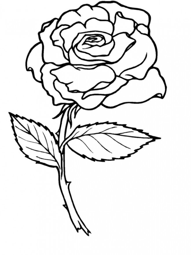 Coloriage Rose Pour Enfant Dessin Gratuit À Imprimer pour Coloriage De Rose Rouge 
