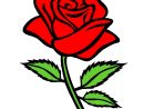 Coloriage Rose Rouge - Sans Dépasser à Une Rose En Dessin
