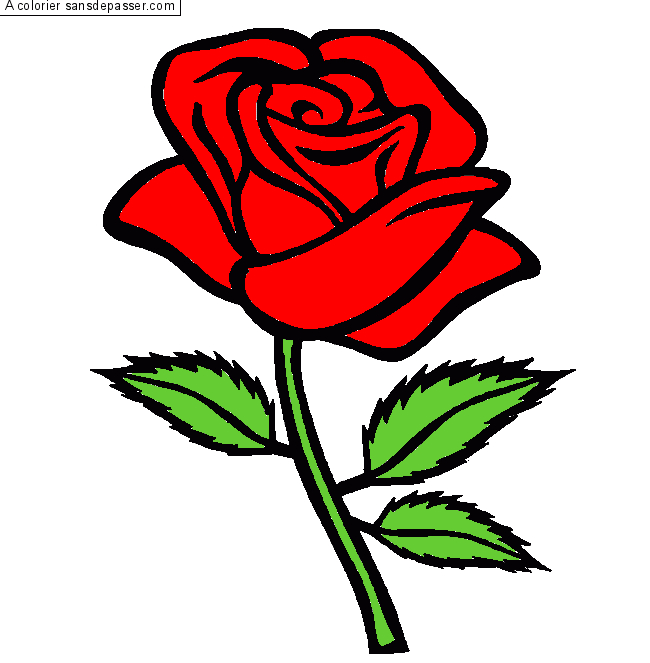 Coloriage Rose Rouge - Sans Dépasser à Une Rose En Dessin 