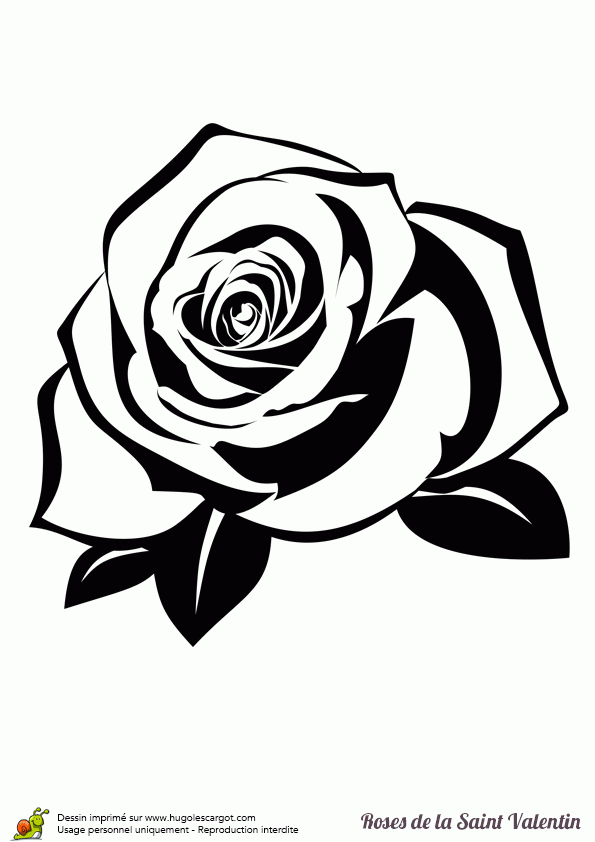 Coloriage Rose Saint Valentin Mimi Sur Hugolescargot dedans Coloriage De Rose 