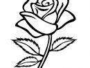 Coloriage Rose Sur Coloriage À Imprimer Du Net concernant Rose Coloriage