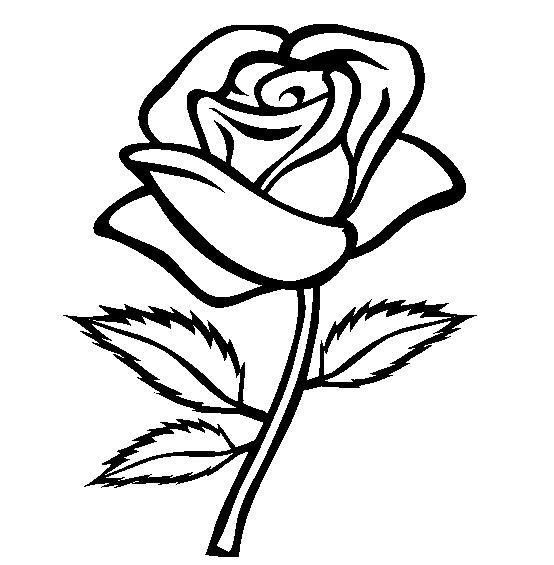 Coloriage Rose Sur Coloriage À Imprimer Du Net concernant Rose Coloriage 