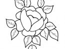 Coloriage Roses 125 Dessin Rose À Imprimer dedans Coloriage De Rose