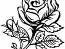 Coloriage Roses #162020 (Nature) - Album De Coloriages intérieur Rose Coloriage