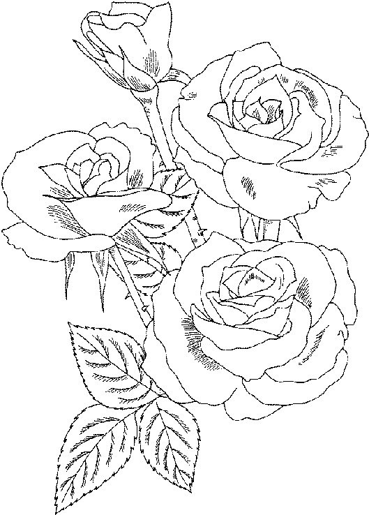 Coloriage Roses Sur Ordinateur Dessin Gratuit À Imprimer intérieur Dessin À Colorier Sur Ordinateur Gratuit
