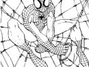 Coloriage Spiderman - Spiderman À Imprimer Gratuit pour Coloriage À Imprimer Gratuit Spiderman