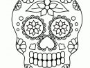 Coloriage Squelette Sucre Coeurs Et Nature Sur Hugolescargot tout Squelette A Colorier