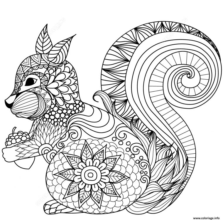 Coloriage Squirrel Zentangle Adulte_1 Dessin Zentangle À Imprimer pour Coloriage Gratuit En Ligne