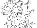 Coloriage Tom Et Jerry #24242 (Dessins Animés) - Album De Coloriages pour Coloriage Tom Et Jerry