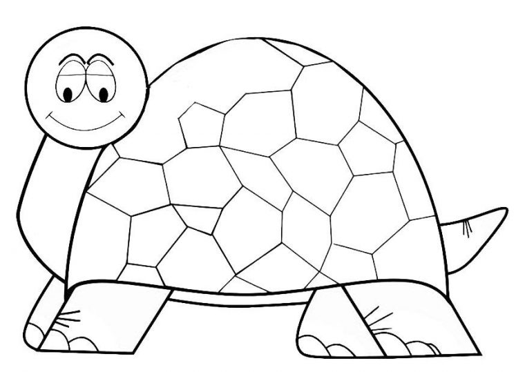 Coloriage Tortue – Coloriages Gratuits À Imprimer – Dessin 19634 dedans Coloriage Tortue