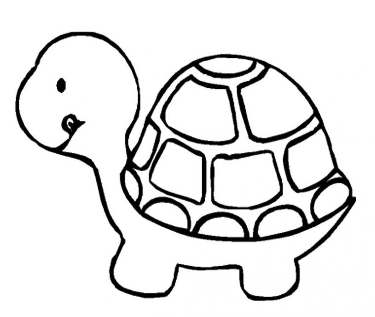 Coloriage Tortue Gratuit À Imprimer Et Colorier dedans Coloriage Tortue