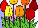 Coloriage Tulipes - Sans Dépasser intérieur Dessin De Tulipe