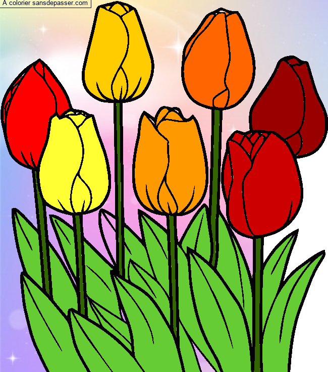 Coloriage Tulipes - Sans Dépasser intérieur Dessin De Tulipe