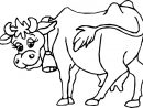 Coloriage Vache #13215 (Animaux) - Album De Coloriages avec Dessin De Vache À Imprimer