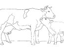 Coloriage Vache #13298 (Animaux) - Album De Coloriages tout Dessin De Vache À Imprimer