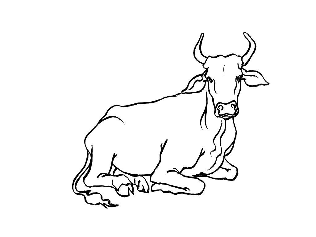 Coloriage Vache 3 - Coloriage Vaches - Coloriages Animaux encequiconcerne Coloriage Vache 