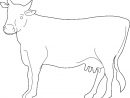 Coloriage Vache Gratuit Imprimer à Dessin De Vache À Imprimer