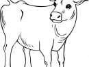 Coloriage Vache Maternelle Dessin Gratuit À Imprimer intérieur Coloriage Vache