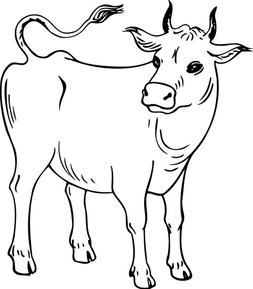 Coloriage Vache Maternelle Dessin Gratuit À Imprimer intérieur Coloriage Vache 