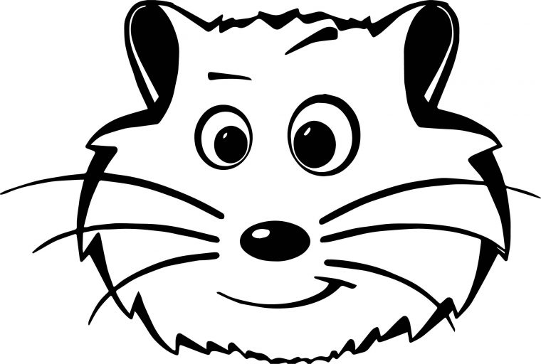 Coloriages À Imprimer : Hamster, Numéro : 2566C627 intérieur Coloriage De Hamster A Imprimer