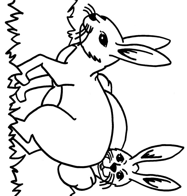 Coloriages À Imprimer : Lapin, Numéro : 7722 intérieur Coloriage Lapin À Imprimer