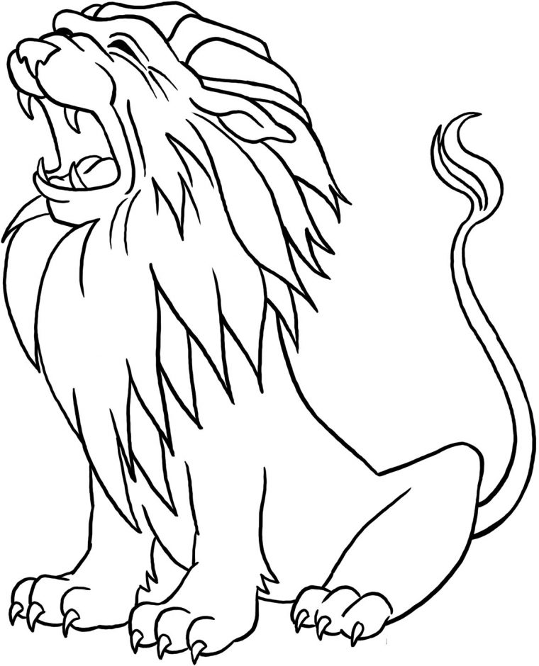 Coloriages À Imprimer : Lion, Numéro : C15A5704 avec Coloriage De Lion A Imprimer