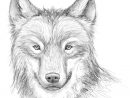 Coloriages À Imprimer : Loup, Numéro : 682671 encequiconcerne Coloriage De Loup