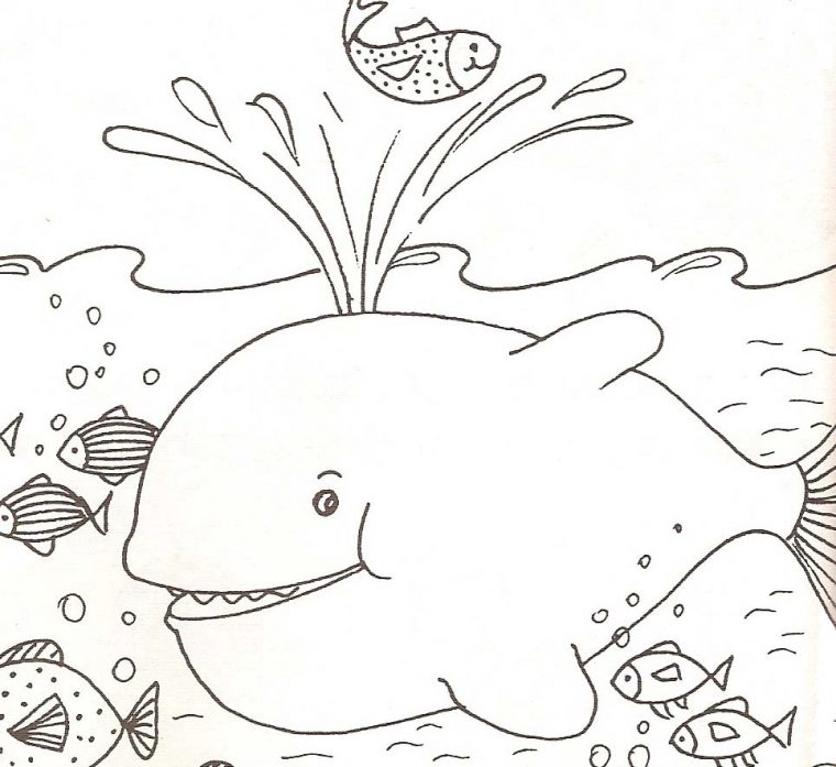 Coloriages Animaux De Mer concernant Coloriage Animaux De La Mer