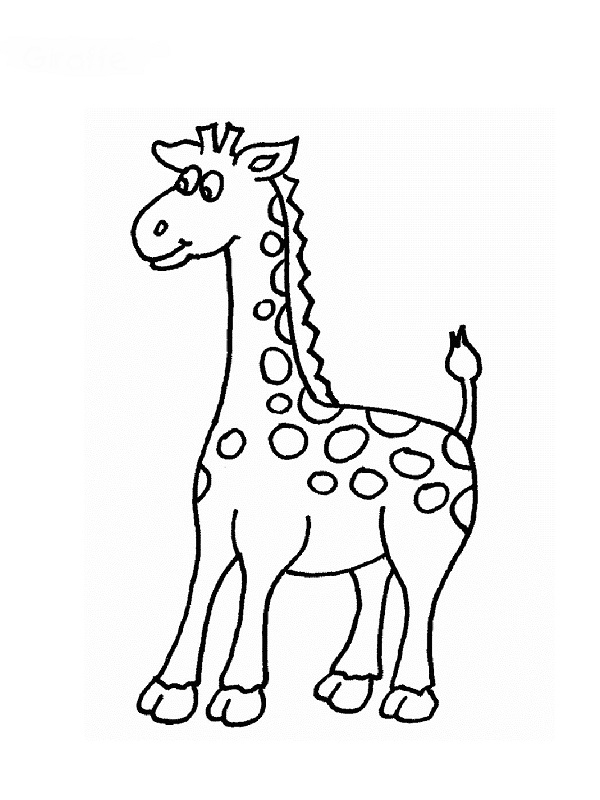 Coloriages Animaux pour Dessin D Animaux