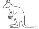 Coloriages Animaux Sauvages : Le Kangourou à Coloriage Animaux
