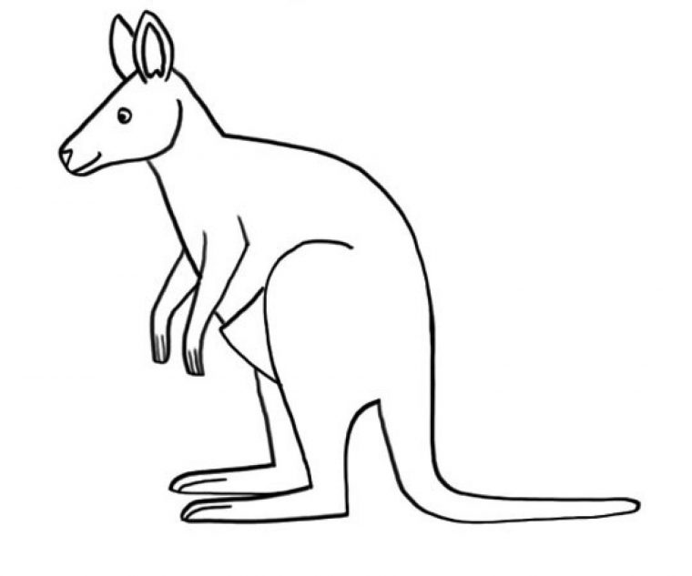 Coloriages Animaux Sauvages : Le Kangourou à Coloriage Animaux