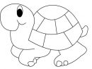 Coloriages Animaux Tortues pour Coloriage Tortue