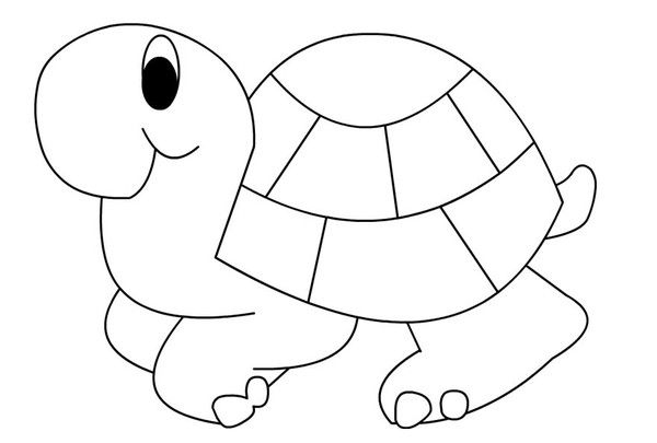 Coloriages Animaux Tortues pour Coloriage Tortue 