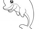 Coloriages D'Animaux De Le Mer À Imprimer Pour Les Enfants - Animateur concernant Coloriage De Dauphin