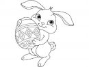 Coloriages De Pâques : Le Bébé Lapin Et Son Œuf pour Dessin Un Lapin
