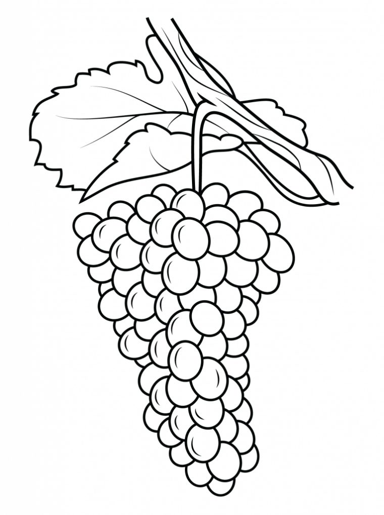 Coloriages De Raisins Gratuit À Imprimer Et Colorier pour Dessin Grappe De Raisin A Colorier