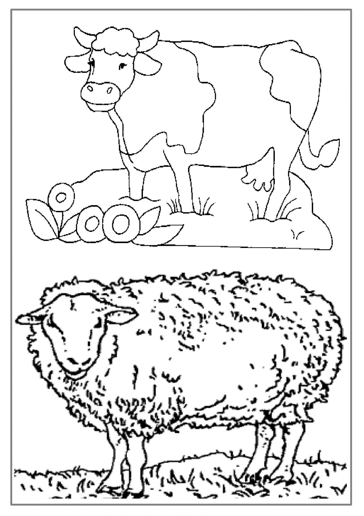 Coloriages Éducatifs,Dessin Animaux De La Ferme À Colorier destiné Imagier Animaux De La Ferme À Imprimer