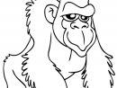 Coloriages Gorille (Animaux) - Album De Coloriages serapportantà Dessin Facile Animaux