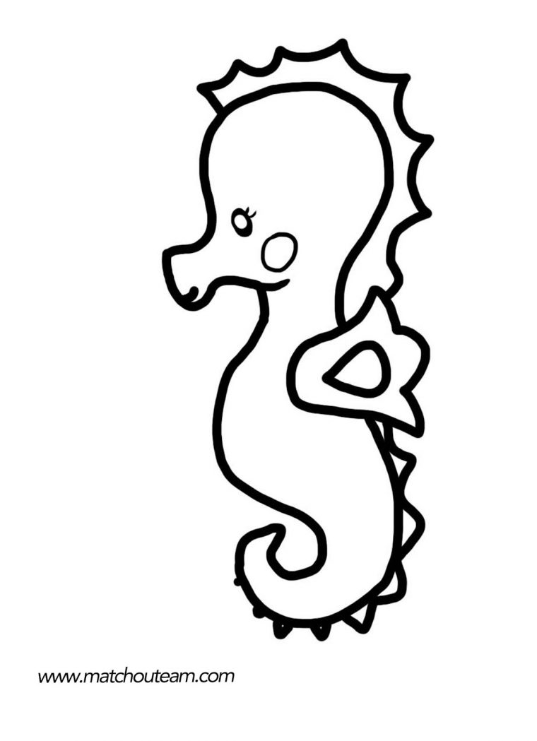 Coloriages Hippocampe (Animaux) – Album De Coloriages avec Dessin Hippocampe