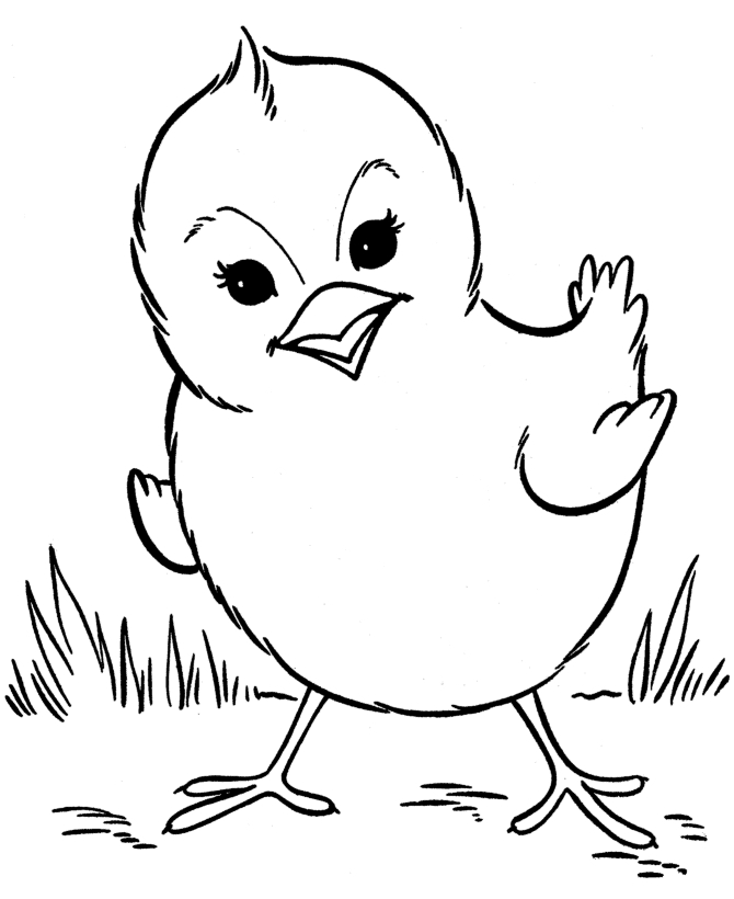 Coloriages Poussin (Animaux) – Page 4 – Album De Coloriages pour Coloriage De Poussin