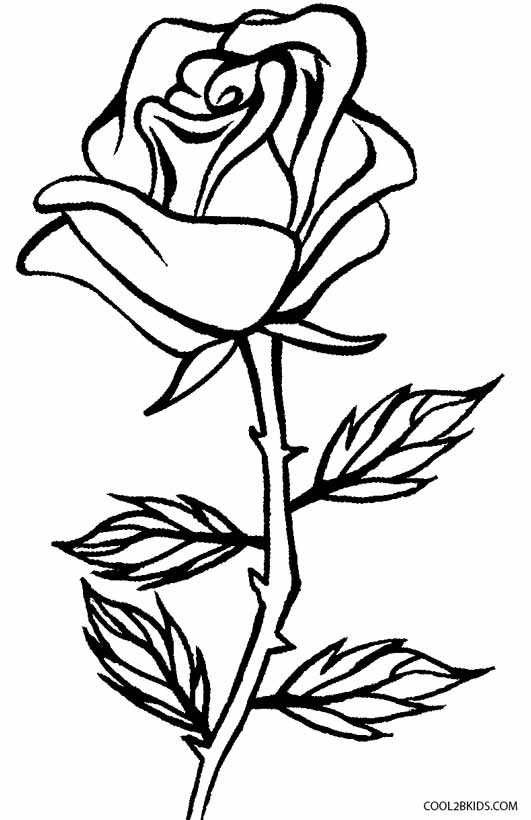 Coloriages - Rose - Coloriages Gratuits À Imprimer à Coloriage De Rose