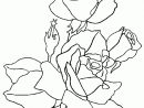 Coloriages Roses concernant Rose Coloriage